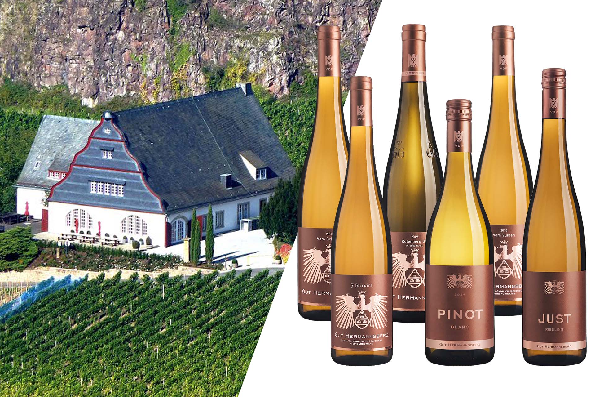 Weingut Gut Hermannsberg - Weine der Nahe